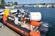 49. Pokalregatta Nordische Folkeboote